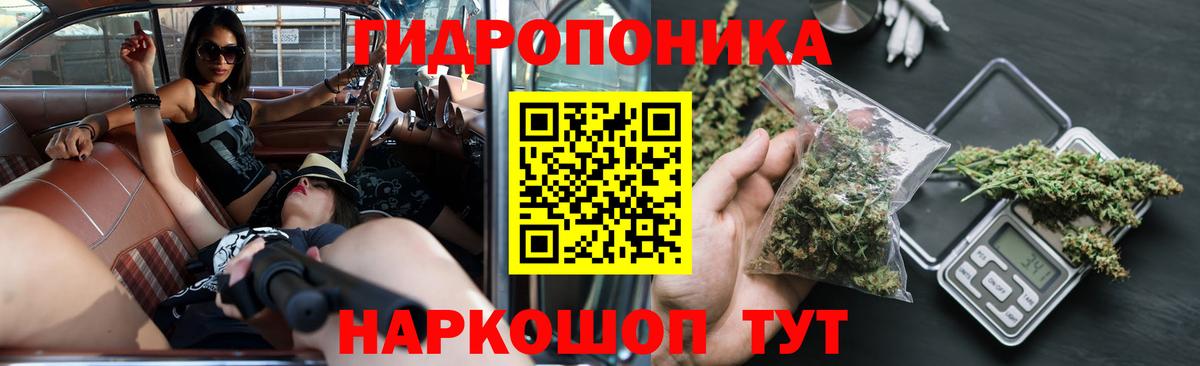 Тольятти  Шишки марихуана семена  Марихуана конопля  Марихуана гибрид  Канабис AK-47  Вход с VPN 